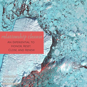 110a: Relationship Cleanse Experiential