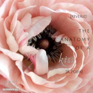 171: [Reverie] : Anatomy of a Kiss [A Poem]