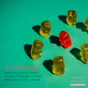 128: A{Live} Now: When Discomfort Ripens, Calibrate Pleasure + Systemic Intergenerational Trauma