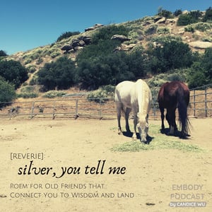 153: [Reverie] : Silver, You Tell Me [A Poem for Old Friends that Connect You To Wisdom and Land]