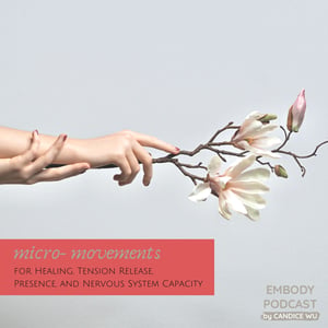 165: Micro-Movements for Healing, Tension Release, Presence, and Nervous System Capacity