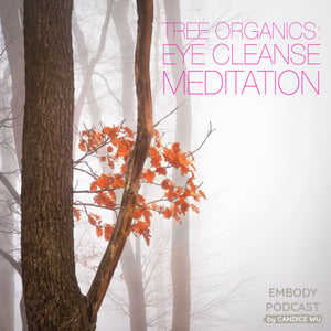 28a: Meditation ❤ Tree Organics: Eye Cleanse