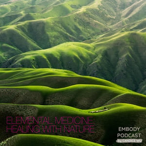 28d: Meditation ❤ Elemental Medicine: Accessing Your Intuition and Nature for Pure Balancing