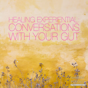 26c: Healing Experiential ❤ Conversations With Your Gut